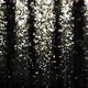 Abstract Bright Particle Confetti and Glitter on Black Velvet Rain 4k - VideoHive Item for Sale