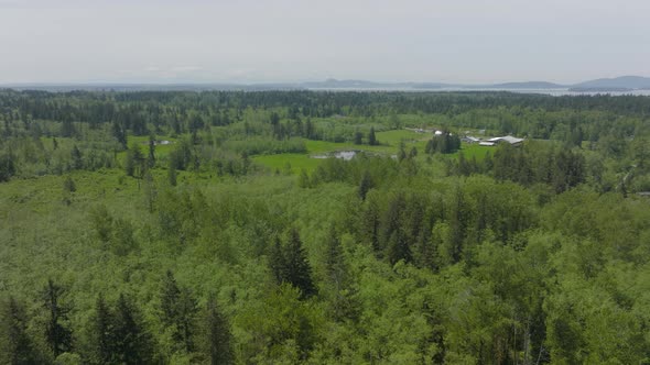 Flyover beautiful green Bellingham, Washington landscape towards Puget Sound on a gorgeous spring da alt