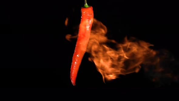Red Hot Chili Peppers Roasting Over Fire on Black Studio Background alt