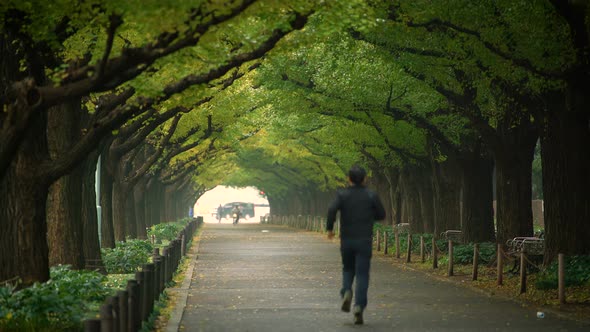 Man Running for Exercise in a Park in Tokyo alt