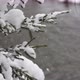 River Coast Covered with Snow - VideoHive Item for Sale