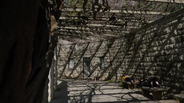 People resting on benches in a historic garden with wisteria flowers over pergolas alt