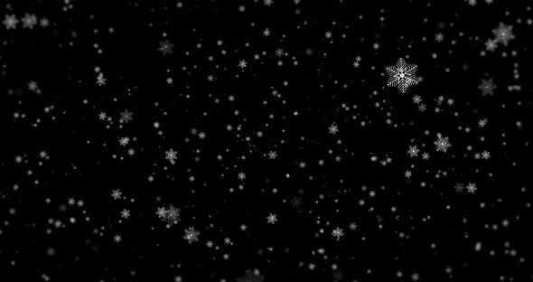 Real Snow, falling snow isolated on black transparent background