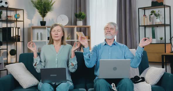 Peaceful Mature Couple with Laptops Meditating on Couch alt