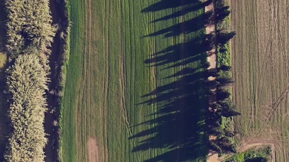 Drone over green fields river bank 4k