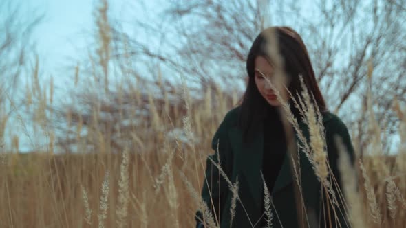 Young Brunette Walking Among the Reeds Outdoor Sunset Scene