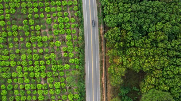 4K Aerial view over a farmer's garden. A car drives on a road near a garden in rural Thailand. alt