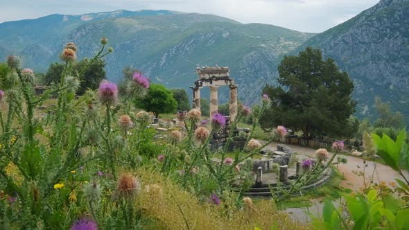 Tholos with Doric Columns at the Sanctuary of Athena Pronoia Temple Ruins in Ancient Delphi, Greece alt