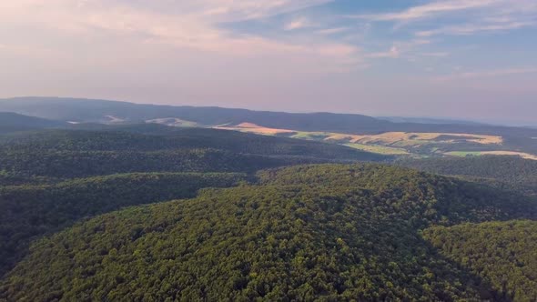 Aerial Forest Valley in Summer Evening Landscape alt