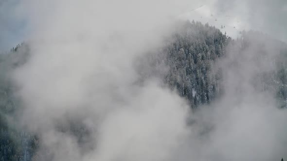 8K Foggy Mist in Mystical Snowy Forest