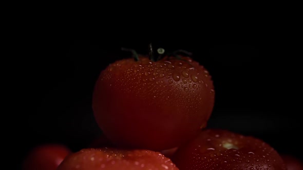 Water Drops on the Ripe Fresh Tomatoes