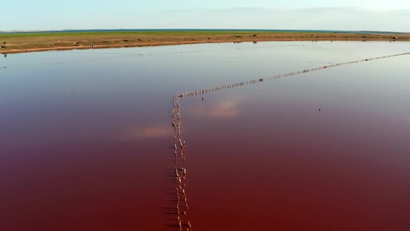 Beautiful top view of the salty, pink lake. Beautiful pink sunset. alt