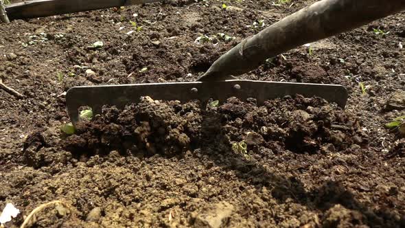 Scythe The Brown Soil 2