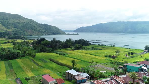 Drone view showing Lake Toba and rice fields, Humbang Hasundutan, North Sumatra Indonesia