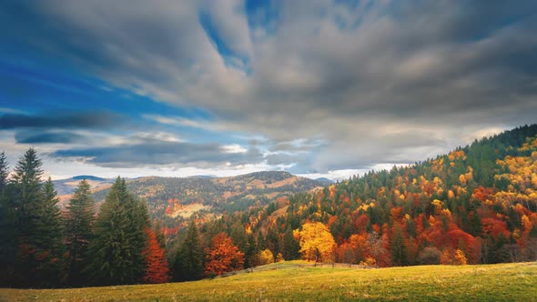 Grey Clouds Float Over Coloured Mixed Forests Covering Hills