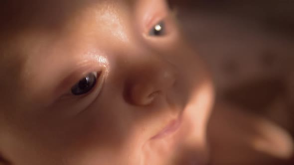 Portrait of Baby Girl Indoor. Infant with Big Blue Eyes alt