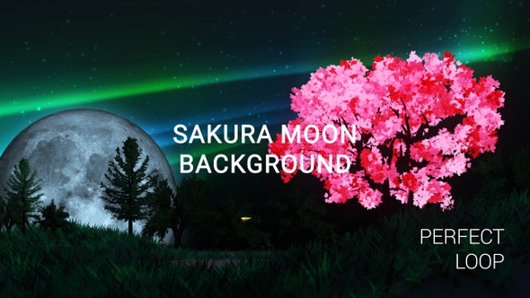 Sakura Moon Blooming Tree