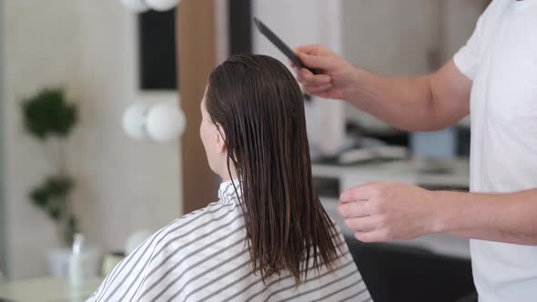 Hairdresser combing the client's wet hair