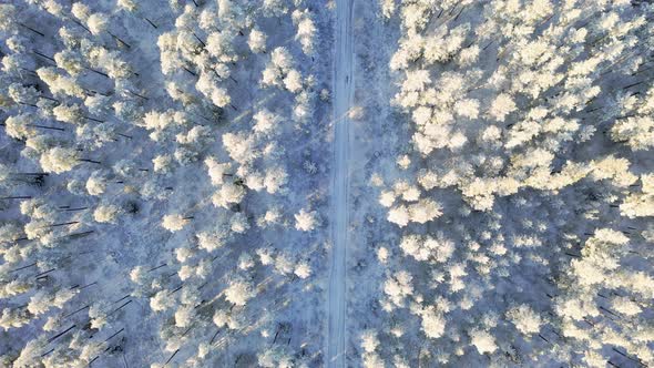 Aerial view of a car road in winter snow covered pine forest.