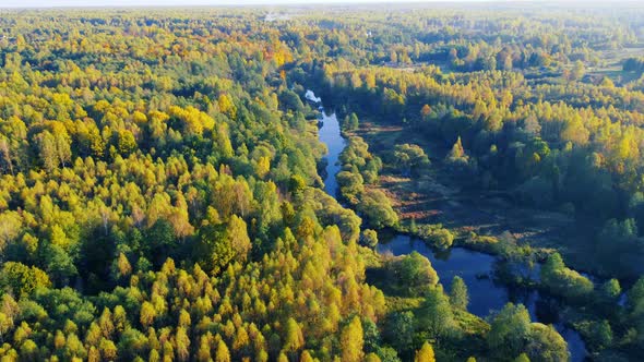 Aerial View of the River Among Forest in the Wild During Fall Season at Sunset