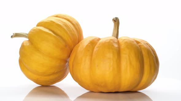 Two Isolated Orange Pumpkins Rotating on the White Background with Copy Space