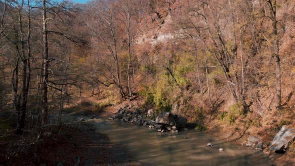 Aerial view over a river in middle of leafless, foliage forest, sunny, fall day - low drone shot, alt
