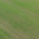 Organic green field crop by early spring 4K aerial footage - VideoHive Item for Sale