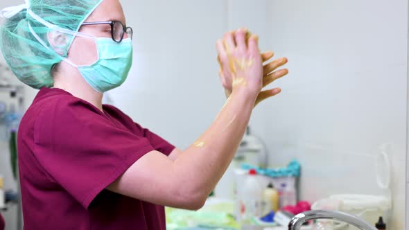 Veterinary Surgeon Washing Her Hands Before Beginning the Surgery in Animal Hospital alt