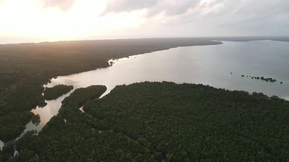 Coast of Zanzibar Island Tanzania Covered with Thickets alt