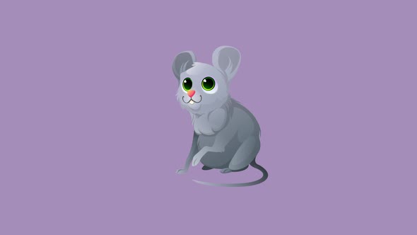 Mouse animation