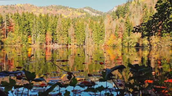 Lake And Forest In Autumn Background