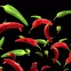 Peppers Of Different Colors - VideoHive Item for Sale
