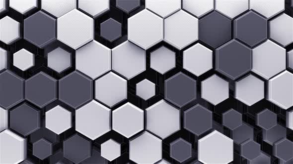 Black And White Hex