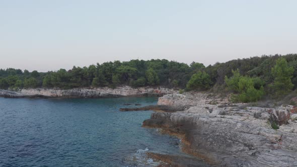 Aerial blue hour shot of a beautiful cliff with trees on the top and waves splashing against the sho alt