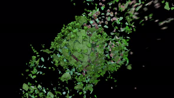 Explosion on the Fragments of Green Coronavirus on a Black Background alt