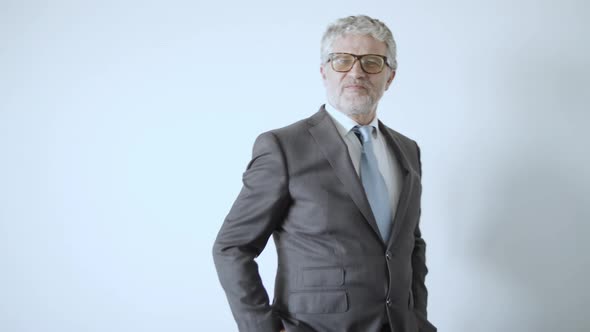 Happy Handsome Mature Businessman Wearing Suit alt