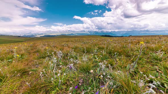The landscape of grassland in Xinjiang, China alt