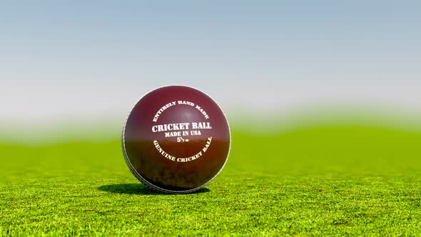 Zoom in animation of a cricket ball. Traditional recreational summer game. HD alt