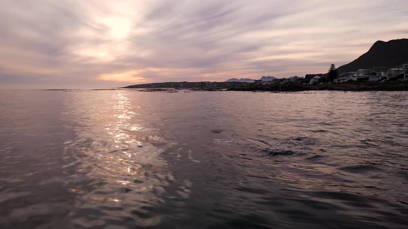 Drone view of massive rotund body of Southern Right whale, reflected in sunset alt