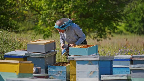 Apiculturist on a bee farm alt