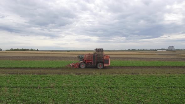 Sugar Beet Combine Harvester Harvesting alt