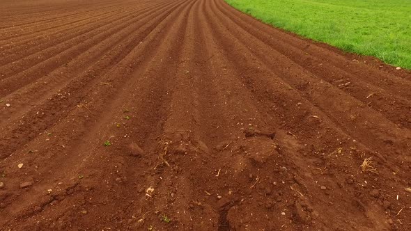 Potato Field Just Planted