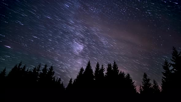 Star Trails in the Night Sky by sergeyxsp | VideoHive