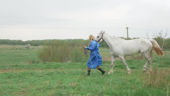 Veterinarian Checks Trotting Horse Limping on Front Leg
