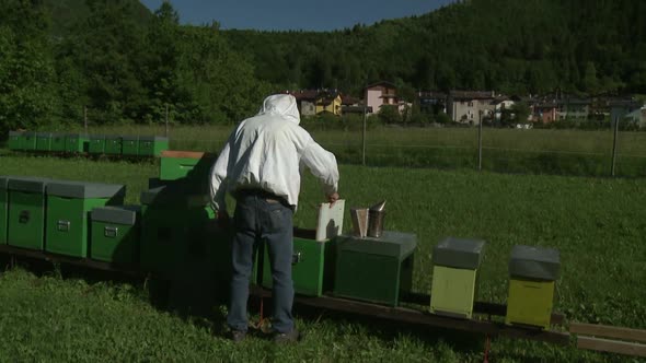 Apicultore at work alt