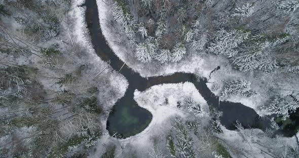 Forest in Winter with Spring Water Lake and River and Snowy Trees Aerial View alt