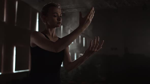 Prima Ballet Company in a Dark Dress on a Dark Theater Stage Rehearsing in the Smoke Performs Dance alt