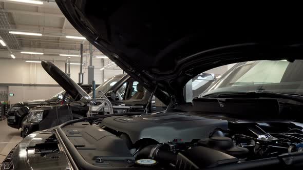Bearded Car Service Worker Smiling To the Camera Examining Cars at the Workshop alt