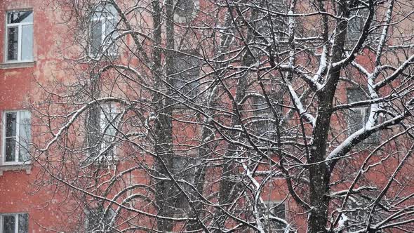 Heavy Snow White Snowflakes on a Residential Background