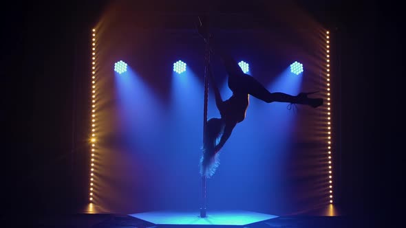 Sexy Young Woman with Long Hair Twirls Upside Down on a Pole and Performs an Acrobatic Stunt alt